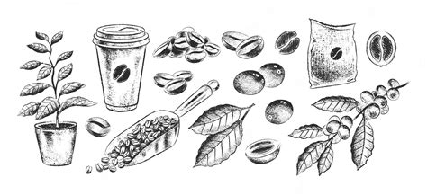 Premium Vector Sketchy Set Of Coffee Illustrations