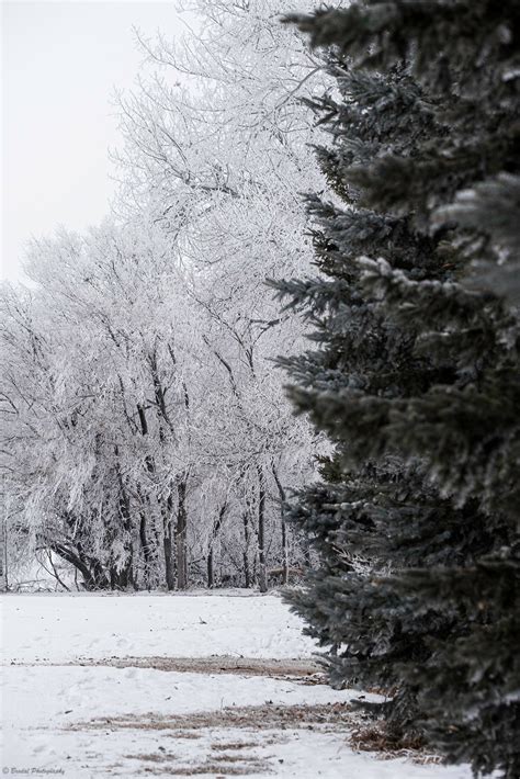 Brodal Photography