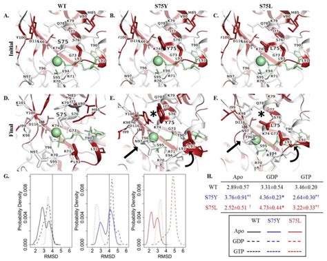 In Silico Protein Modeling And Molecular Dynamics Simulation Of