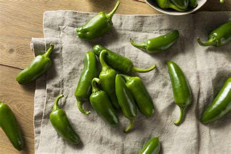 Chile jalapeño el más versátil de los pimientos picantes qué es cómo