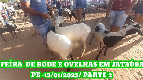 FEÍRA DE CAPRÍNOS E OVÍNOS EM JATAÚBA PE 13 01 2023 PARTE 2 YouTube