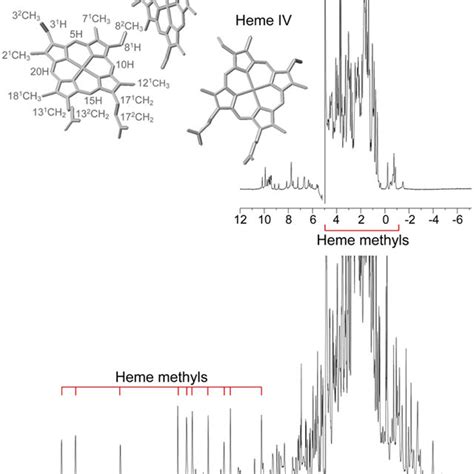 D H Nmr Spectra Of The Reduced Upper Spectrum And Oxidized Lower