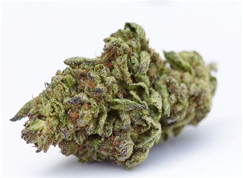 Runtz Marijuana Strain: An In-Depth Cannabis Strain Review