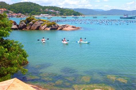 Praia De Palmas Do Arvoredo Sul Travel