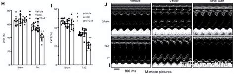 Research丨新型circrna Circitga9诱导心脏重塑和纤维化 知乎