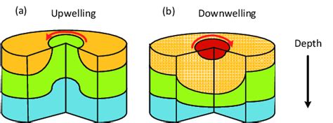 A Cyclonic Eddy And B Anticyclonic Eddy Three Dimensional Schematic