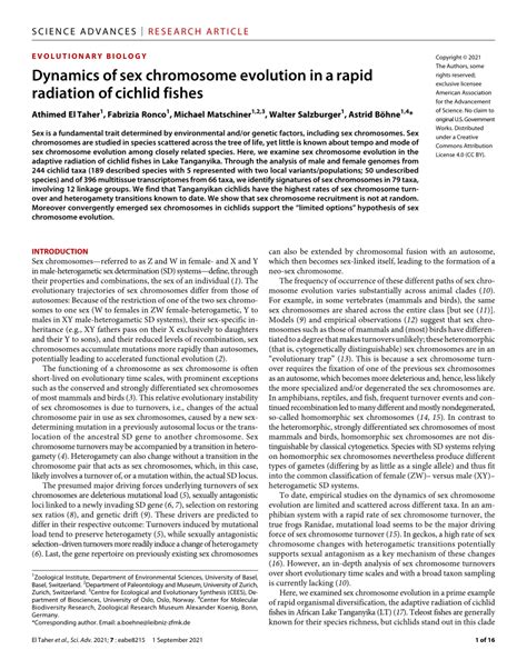 Pdf Dynamics Of Sex Chromosome Evolution In A Rapid Radiation Of