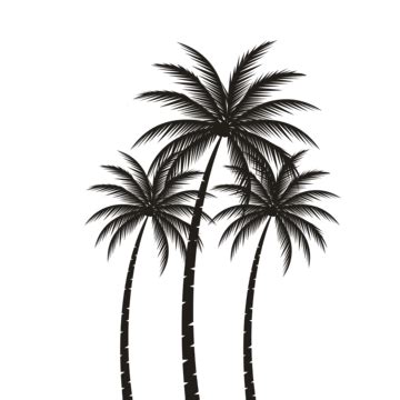 Detailed Two Palm Trees Black Silhouettes Illustration Island Travel