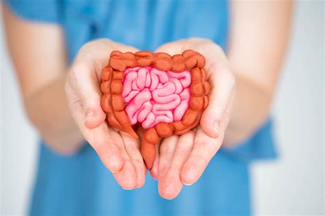 The Connection Between Gut Health and Hormones | Pacifica Compounding Pharmacy