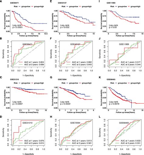 Frontiers Identification And Validation Of A Novel Cuproptosis