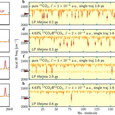 Rabi Splitting And Selective Polariton Energy Transfer A Equilibrium Ir