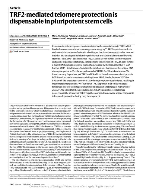 Trf2 Mediated Telomere Protection Is Dispensable In Pluripotent Stem