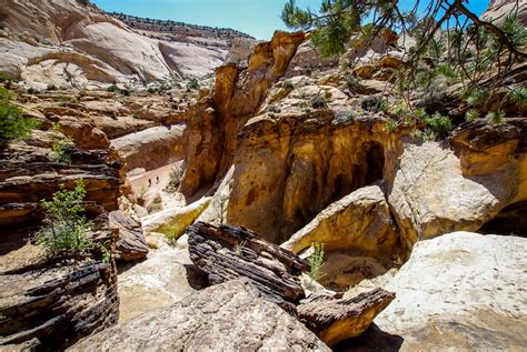 The Capitol Gorge Tanks Hike In Utahs Capitol Reef National Park