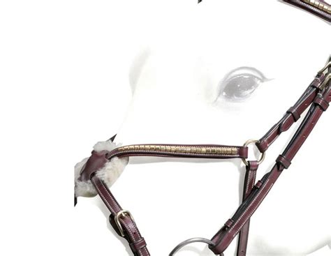 Equipe Grackle Clinchered Bridle Ebre14 Cc Equestrian