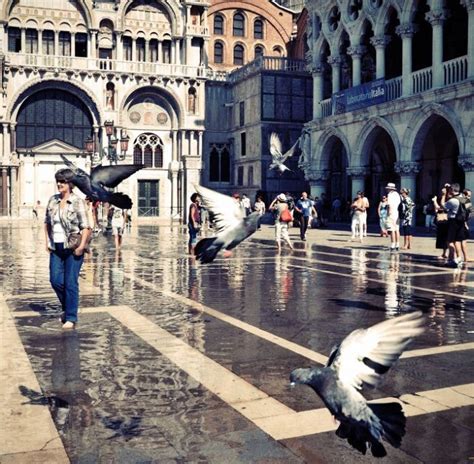 Venice Is Sinking (31 pics)