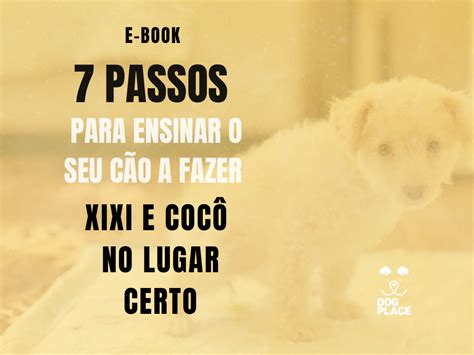 Baixe Passos P Ensinar Seu C O Fazer Xixi E Coc No Lugar Certo