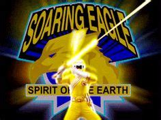 Soaring Eagle Ideas Power Rangers Power Rangers Wild Force Ranger