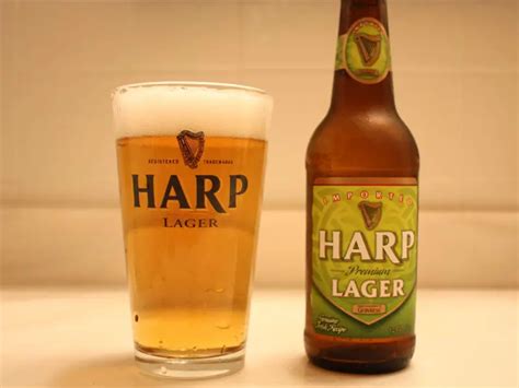 Top 10 Best Irish Beers To Try in 2023