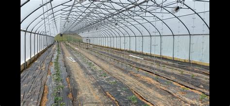 Donation From Point Breeze Helps First Fruits Farm To Build Greenhouse