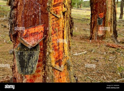 Resin Production Hi Res Stock Photography And Images Alamy