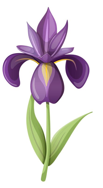 Фото, автор Soloveika на Яндекс.Фотках Flower Art Drawing, Flower ...