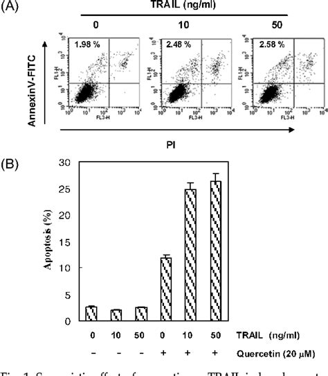 Figure 1 From Quercetin Sensitizes Human Leukemic Cells To Trail Induced Apoptosis Involvement