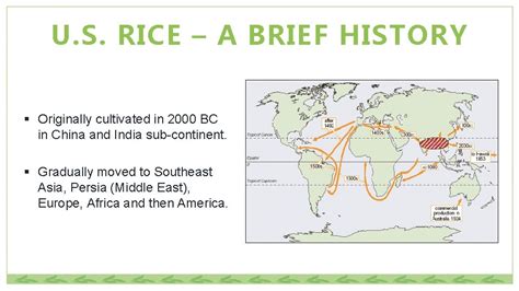 WHAT IS RICE History Production WHAT IS RICE