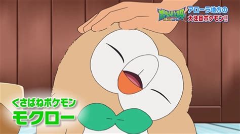 ポケモンのモクローが可愛すぎる。 あずの道具箱。