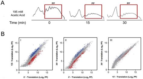 (A) Polysome fractions (PF) from the polysome profiles of wild-type... | Download Scientific Diagram