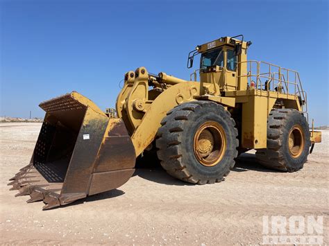 Cat D