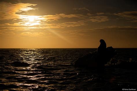 Polar Bear Photo Tours - Svalbard Photography Workshop