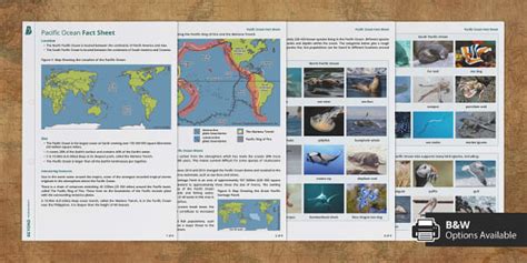 Marine Biomes Pacific Ocean Fact File Teacher Made