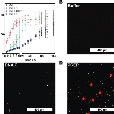 A Release Profiles Of Fitc Dextran Kda From Aam Bac Dna