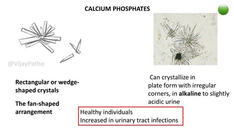 URINARY CRYSTALS - Pathology Made Simple