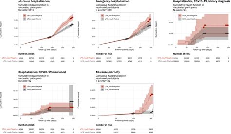 Kaplanmeier Plots Showing Cumulative Hazard Among People Reporting A