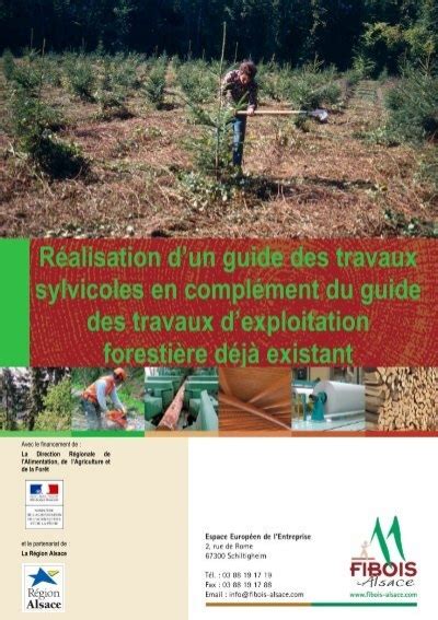 R Alisation D Un Guide Des Travaux Sylvicoles En Fibois Alsace