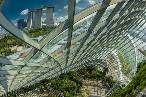 Inside the cloud forest dome, Singapore