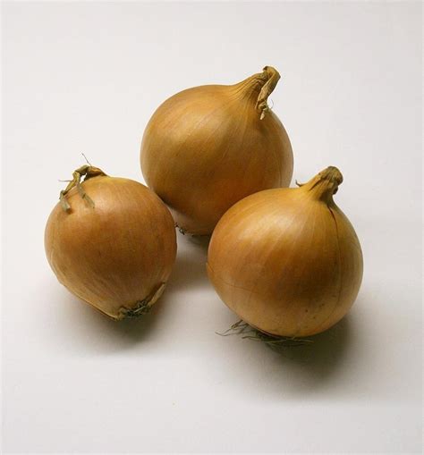 Bawang Sayuran Bahan - Foto gratis di Pixabay - Pixabay