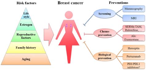 Schematic Diagram Of Risk Factors And Preventions Of Breast Cancer