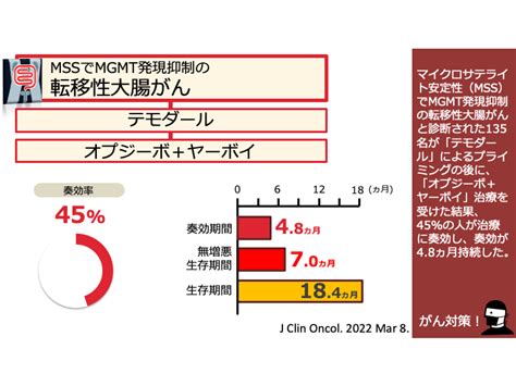 日本がん対策図鑑 進行胆道がんと診断された人が初めての治療を考える場合、「ゲムシタビン＋シスプラチン」に「イミフィンジ」の上乗せ