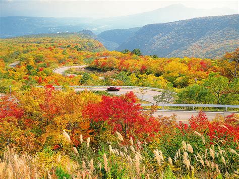 東北の厳選紅葉スポット【宮城・山形・福島編】