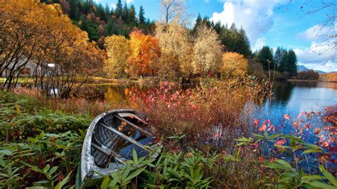 Fonds D écran Rivière Forêt Automne Arbres Maison Bateau Cassé 1920x1200 Image