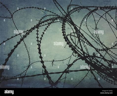 Tangled Barbed Wire Stock Photo Alamy