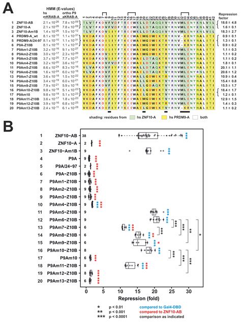 Ijms Free Full Text The Krab Domain Of Znf10 Guides The