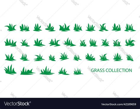 Green grass collection Royalty Free Vector Image