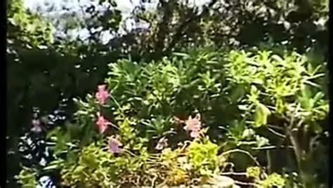 Schöne schöne hispanische MILF lutscht Schwanz in der Sauna xHamster