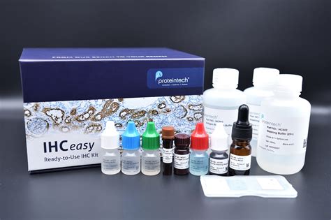 IHCeasy ASUN Ready-To-Use IHC Kit KHC0400 | Proteintech 