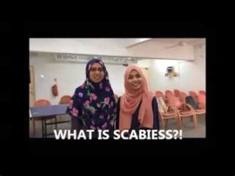 Scabies Pediculosis YouTube