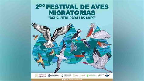 Inició 2do Festival de Aves Migratorias 2023 que organiza Gobierno de