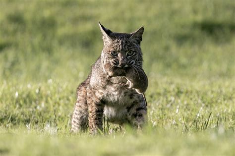 About Us Point Reyes National Seashore Association